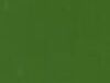 RAL 6025 Fern Green
