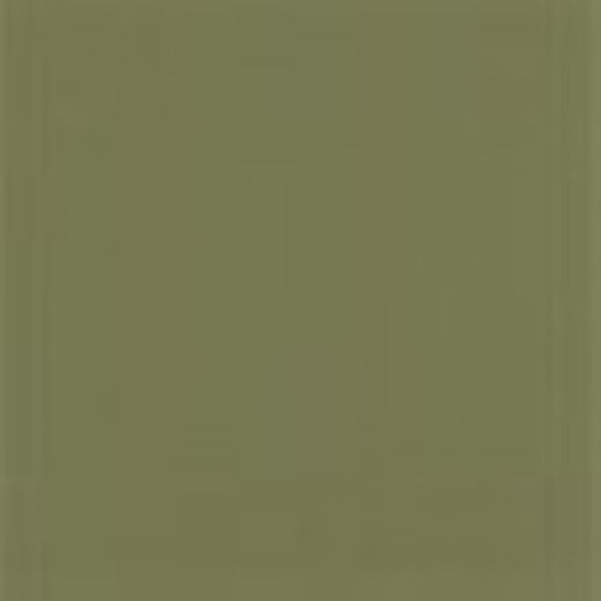 Yellow Grey RAL 7034
